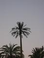 Thumbnail for image 200604-maroc-00049.jpg not available